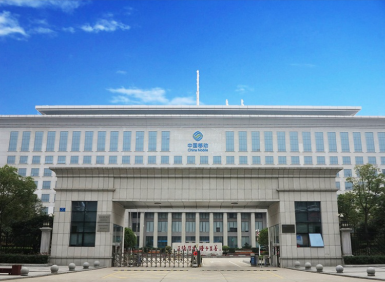 湖北省移动城域网总集成服务